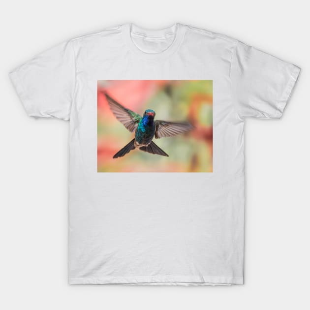 Broad-Billed T-Shirt by MCHerdering